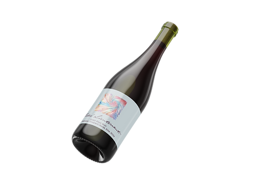 2023 Fiddlestix Vineyard Pinot Noir, Sta. Rita Hills — view 2