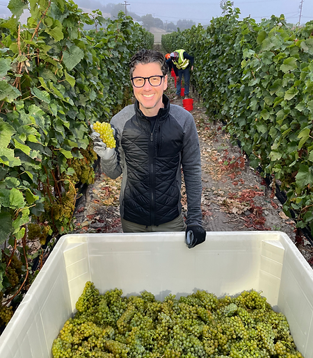 In the cellar