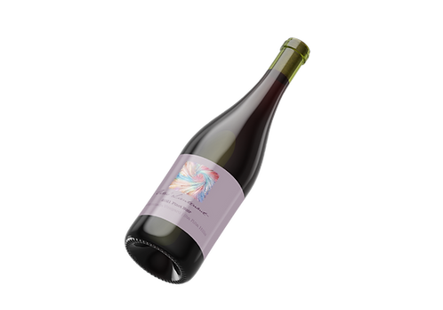 2021 La Rinconada Vineyard Pinot Noir, Sta. Rita Hills — view 2