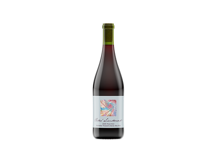 2023 Fiddlestix Vineyard Pinot Noir bottle