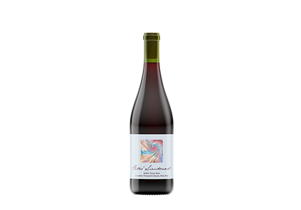 2023 Ampelos Vineyard Pinot Noir bottle